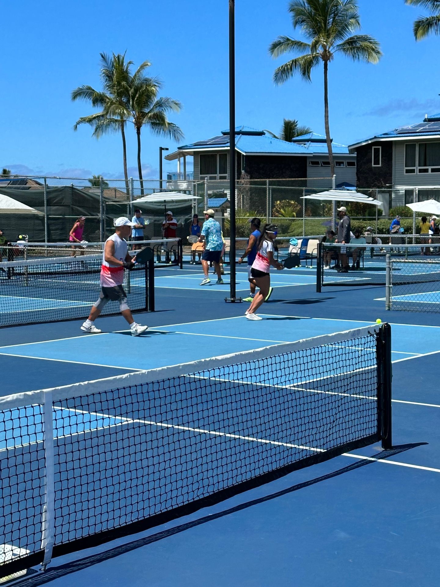 Coaching and Training Services